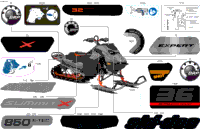 Body - Decals