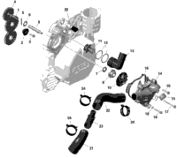 Engine - Cooling