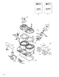 Cylinder, Exhaust Manifold, Reed Valve