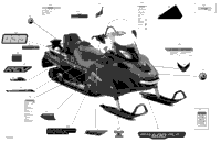 Body - Decals