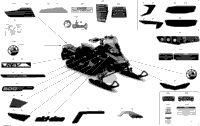 Body - Decals - X