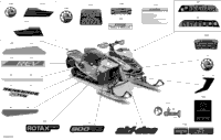 Body - Decals - Xrs