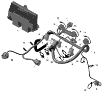 Engine Harness And Electronic Module - 900 Ace