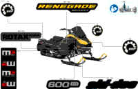 Body - Decals