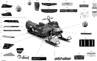 Body - Decals - Sp - 175