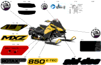 Body - Decals