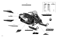 Decals - 600 Carb