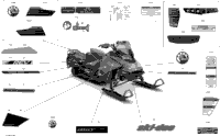 Body - Decals - Std