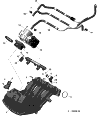 Air Intake Manifold And Throttle Body 900 Ace