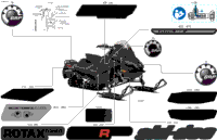 Body - Decals