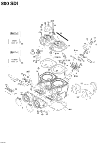 Cylinder, Exhaust Manifold, Reed Valve (800)