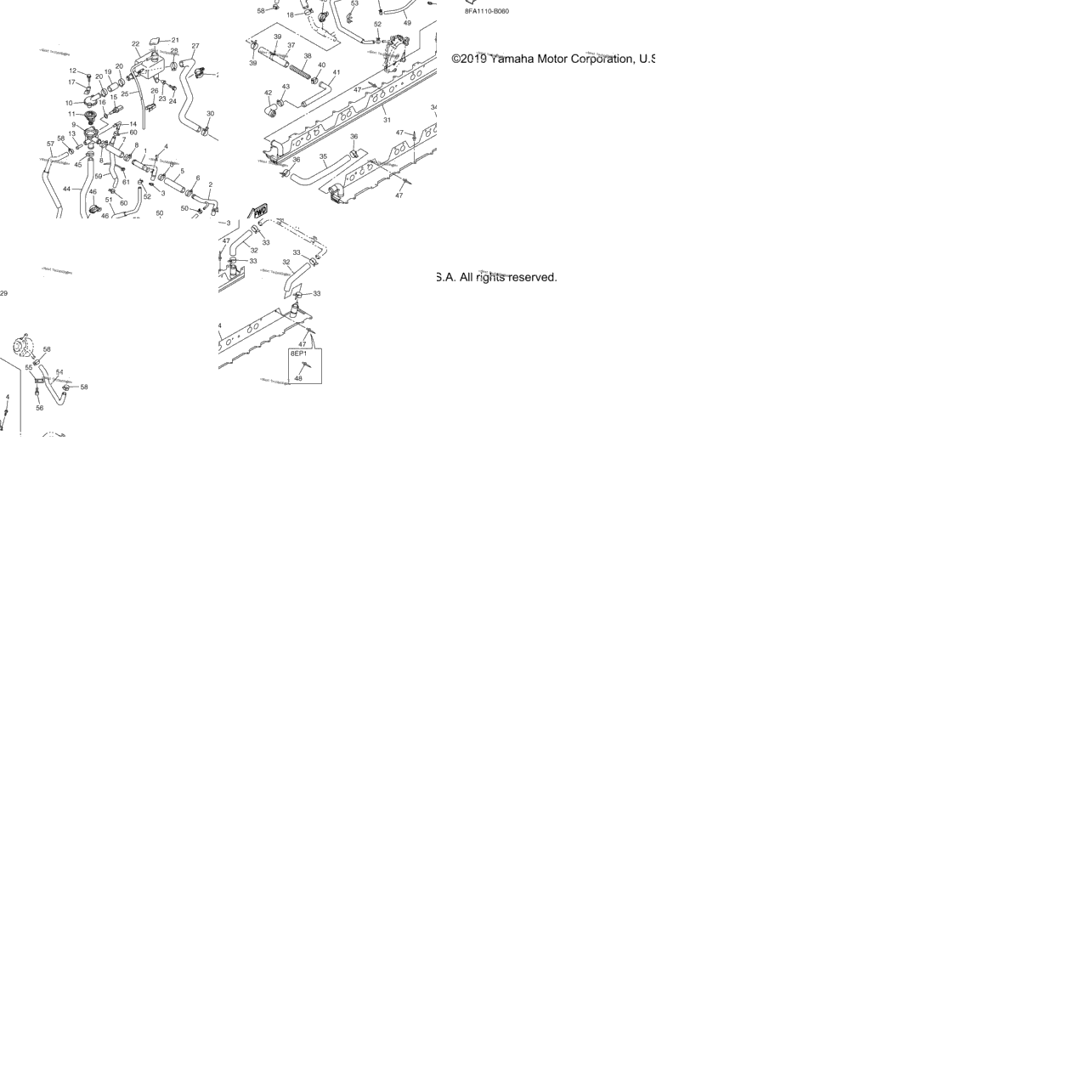 Radiator Hose