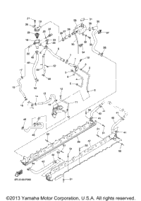Radiator Hose