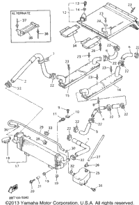 Radiator Hose