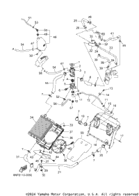 Radiator & Hose