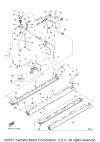 Radiator Hose