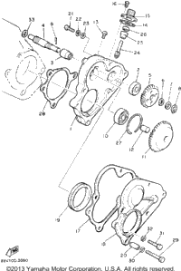 Pump Drive Gear