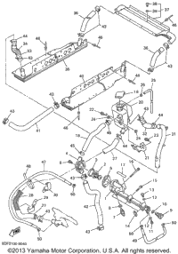 Radiator Hose