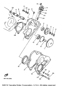 Pump Drive Gear
