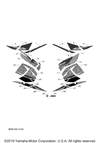 Graphic & Emblem