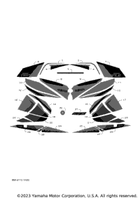 Graphic & Emblem