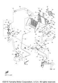 Radiator Hose