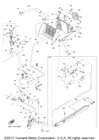Radiator Hose