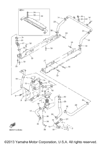 Radiator Hose