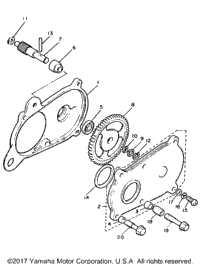 Pump Drive Gear