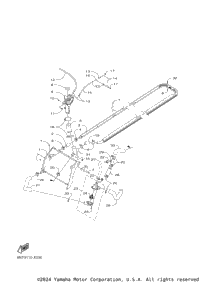 Radiator & Hose