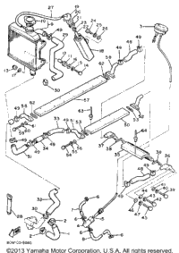 Radiator - Hose