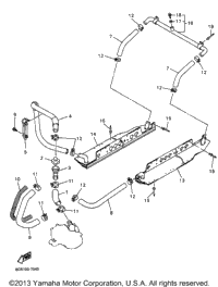 Radiator Hose