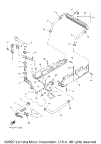 Radiator Hose