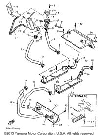 Radiator - Hose