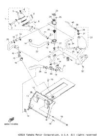 Radiator & Hose