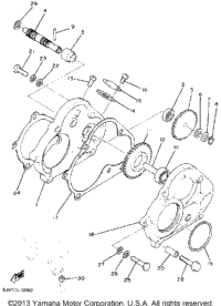 Pump Drive - Gear