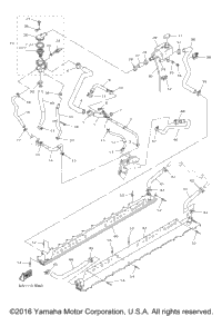 Radiator Hose