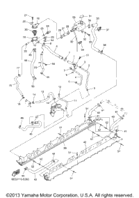 Radiator Hose