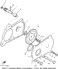 Pump Drive - Gear
