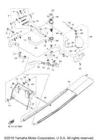 Radiator Hose