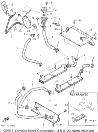 Radiator Hose