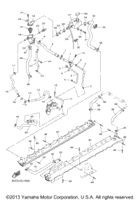 Radiator Hose