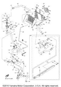 Radiator Hose