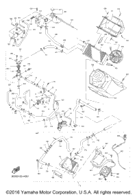 Radiator Hose