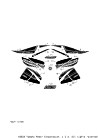 Graphic & Emblem