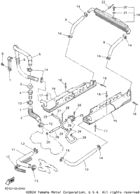 Radiator Hose