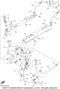 Radiator Hose