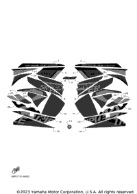 Graphic & Emblem