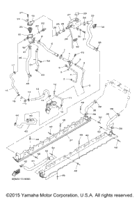 Radiator Hose
