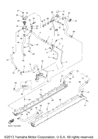 Radiator Hose